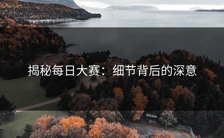 揭秘每日大赛：细节背后的深意